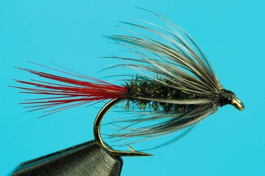 Gray Hackle - Hazy Fly Fishing