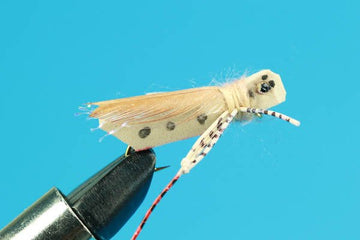 Great Hopper - Hazy Fly Fishing