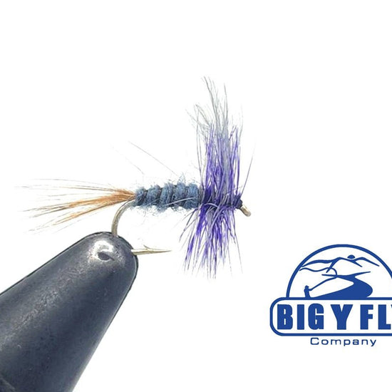 Great Purple Dun - Hazy Fly Fishing