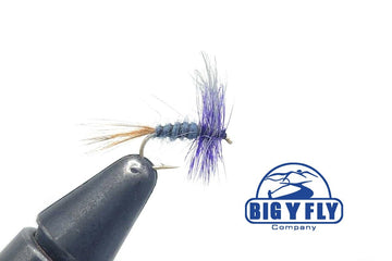 Great Purple Dun - Hazy Fly Fishing