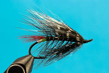 Green Butt Skunk Spey - Hazy Fly Fishing