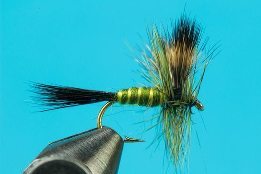 Green Drake - Hazy Fly Fishing