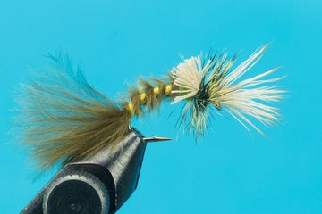 Green Drake Cripple - Hazy Fly Fishing