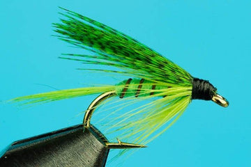Green Drake Wet Fly - Hazy Fly Fishing