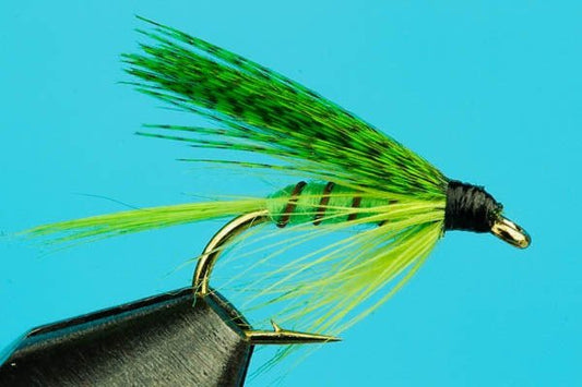 Green Drake Wet Fly - Hazy Fly Fishing