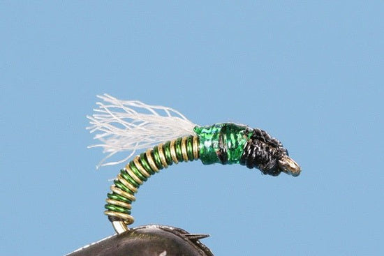 Green Lantern - Hazy Fly Fishing
