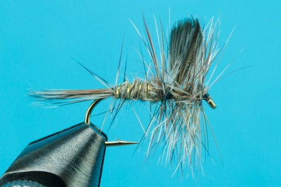 GRHE With Wings - Hazy Fly Fishing