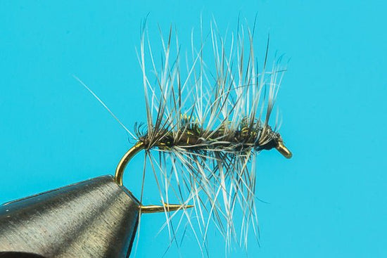 Griffith Gnat - Hazy Fly Fishing