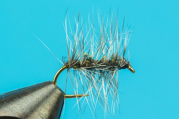 Griffith Gnat - Hazy Fly Fishing