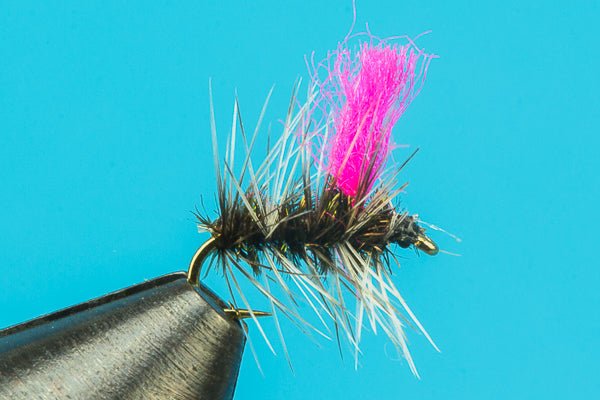 Griffith Gnat Hi Vis - Hazy Fly Fishing
