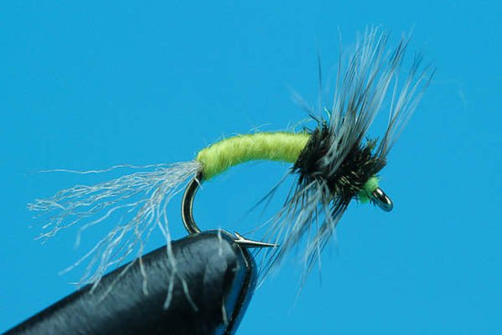 Griffith Gnats Emerger - Hazy Fly Fishing
