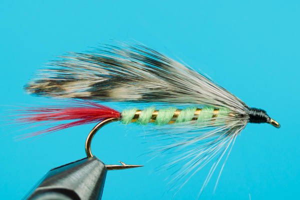 Grizzly King - Hazy Fly Fishing