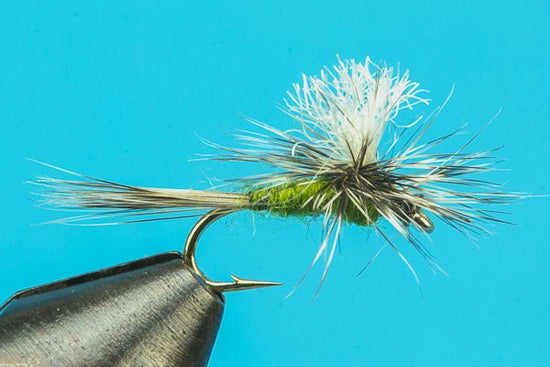 Gulper Special - Hazy Fly Fishing