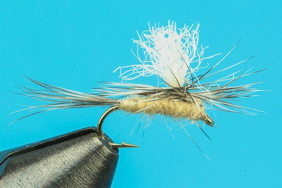 Gulper Special - Hazy Fly Fishing