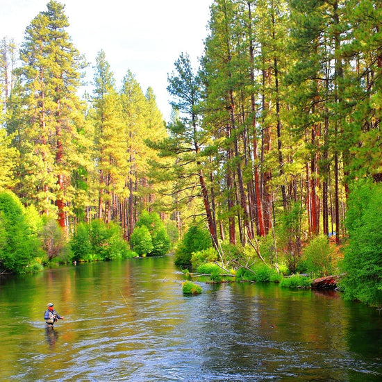 H & L Variant Classic Dry Fly - 6 Flies Hook Size 14 - Hazy Fly Fishing