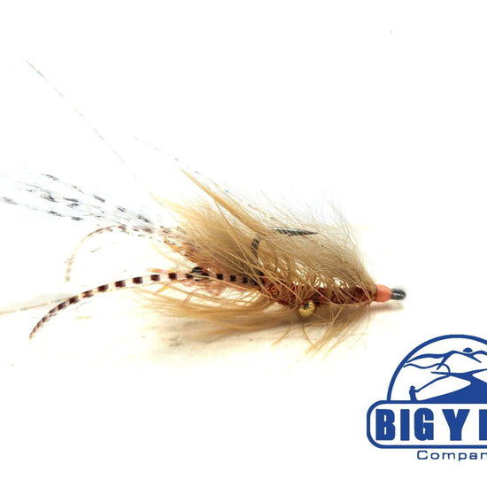 Halo Shrimp - Hazy Fly Fishing