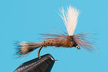 Hecuba - Hazy Fly Fishing