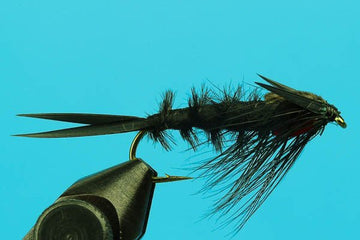 Hellgrammite - Hazy Fly Fishing