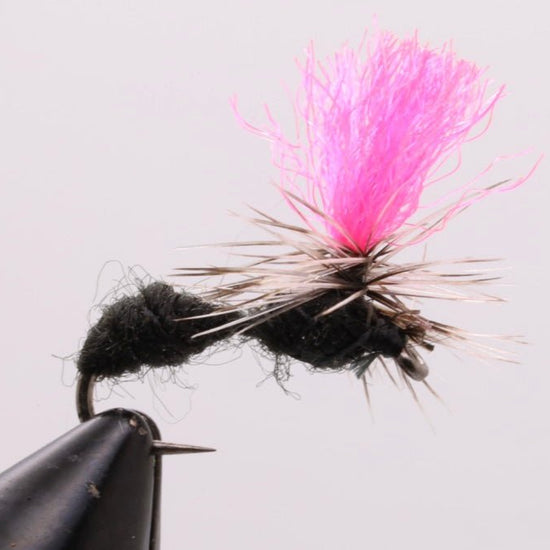 Hi - Viz Ant - Hazy Fly Fishing