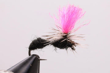Hi - Viz Ant - Hazy Fly Fishing
