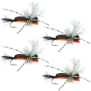 Hippie Stomper Black Orange Foam Body Grasshopper Dry Fly - 4 Flies Size 10 - Hazy Fly Fishing