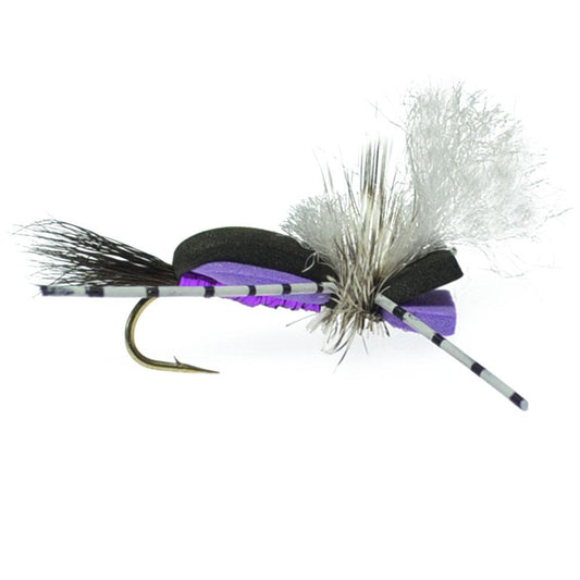 Hippie Stomper Black Purple Foam Body Grasshopper Dry Fly - 4 flies Size 14 - Hazy Fly Fishing