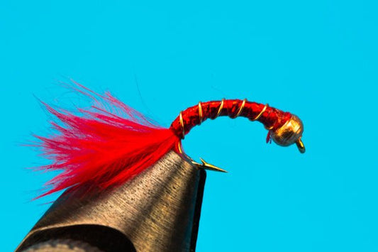 Holo Worm - Beadhead - Hazy Fly Fishing
