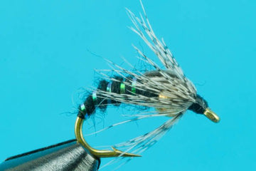 Holy Grail - Tungsten - Hazy Fly Fishing
