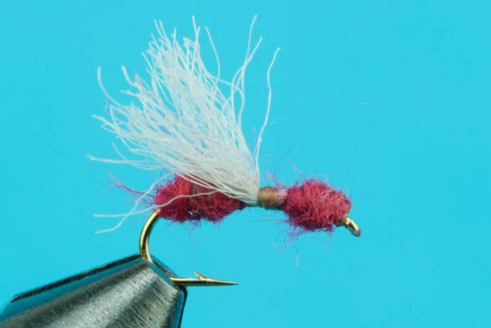 Honey Ant - Hazy Fly Fishing