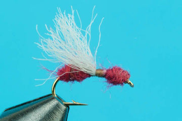 Honey Ant - Hazy Fly Fishing