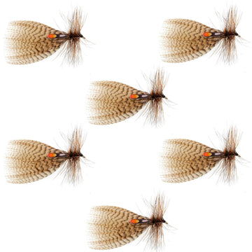 Hornberg Special Trout and Bass Streamer or Dry Fly - 6 Flies - Hook Size 6 - Hazy Fly Fishing