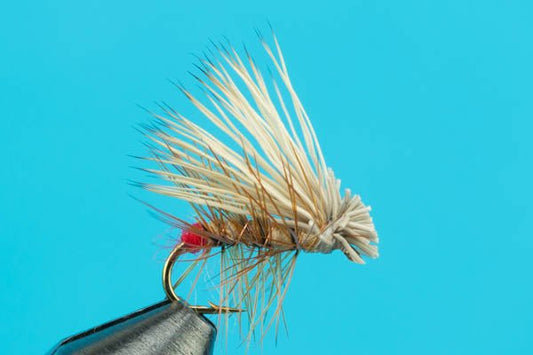 Hot Butt Elk Hair Caddis - Hazy Fly Fishing