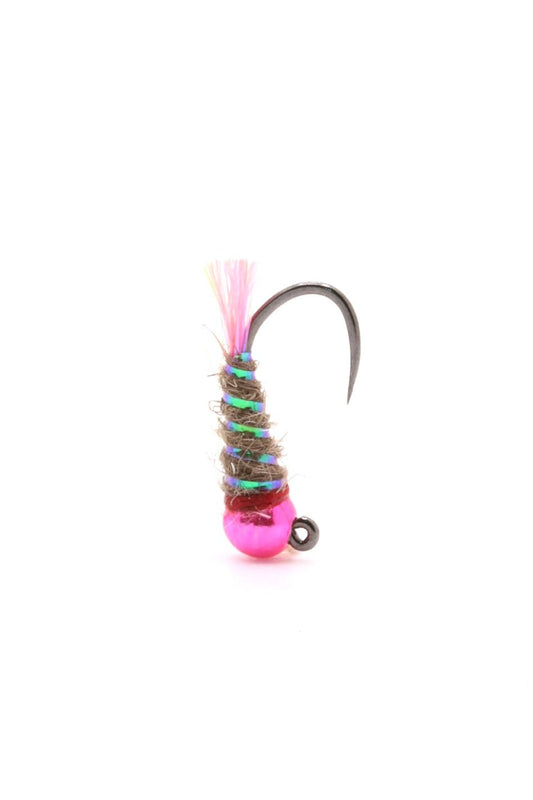Hot Pink BH Sexy Walt - Hazy Fly Fishing