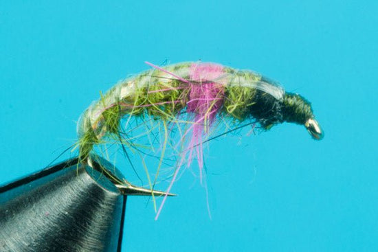 Hot Spot Czech Nymph - Hazy Fly Fishing
