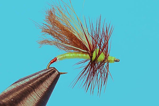 Hot Tamale - Hazy Fly Fishing