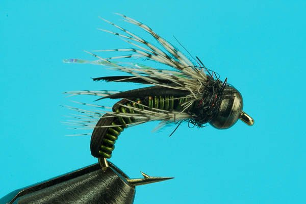 Hot Wire Caddis - Beadhead - Hazy Fly Fishing