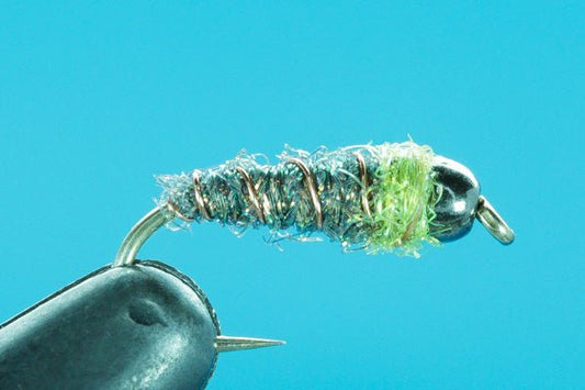 Iced Cased Caddis - Tungsten - Hazy Fly Fishing