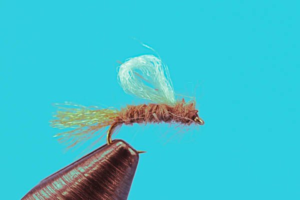 Iris Caddis - Hazy Fly Fishing
