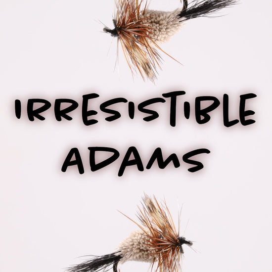 Irresistible Adams - Hazy Fly Fishing