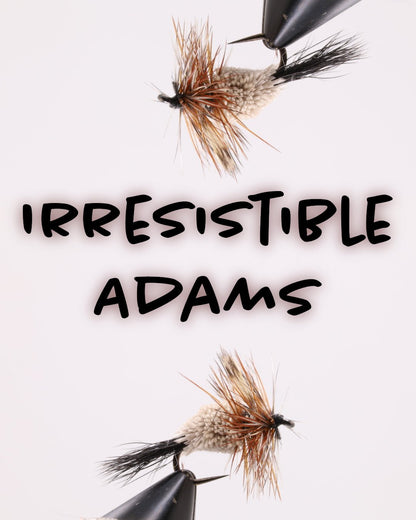 Irresistible Adams - Hazy Fly Fishing