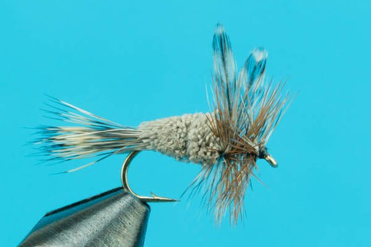 Irresistible Adams - Hazy Fly Fishing