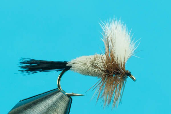 Irresistible Wulff - Hazy Fly Fishing