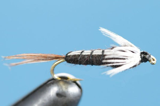 Isonychia Drake Nymph - Hazy Fly Fishing