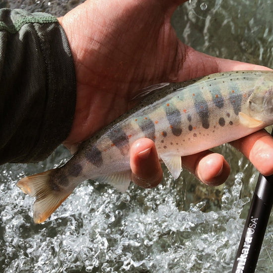 ITO™ 13' / 14'7" (adjustable) - Hazy Fly Fishing