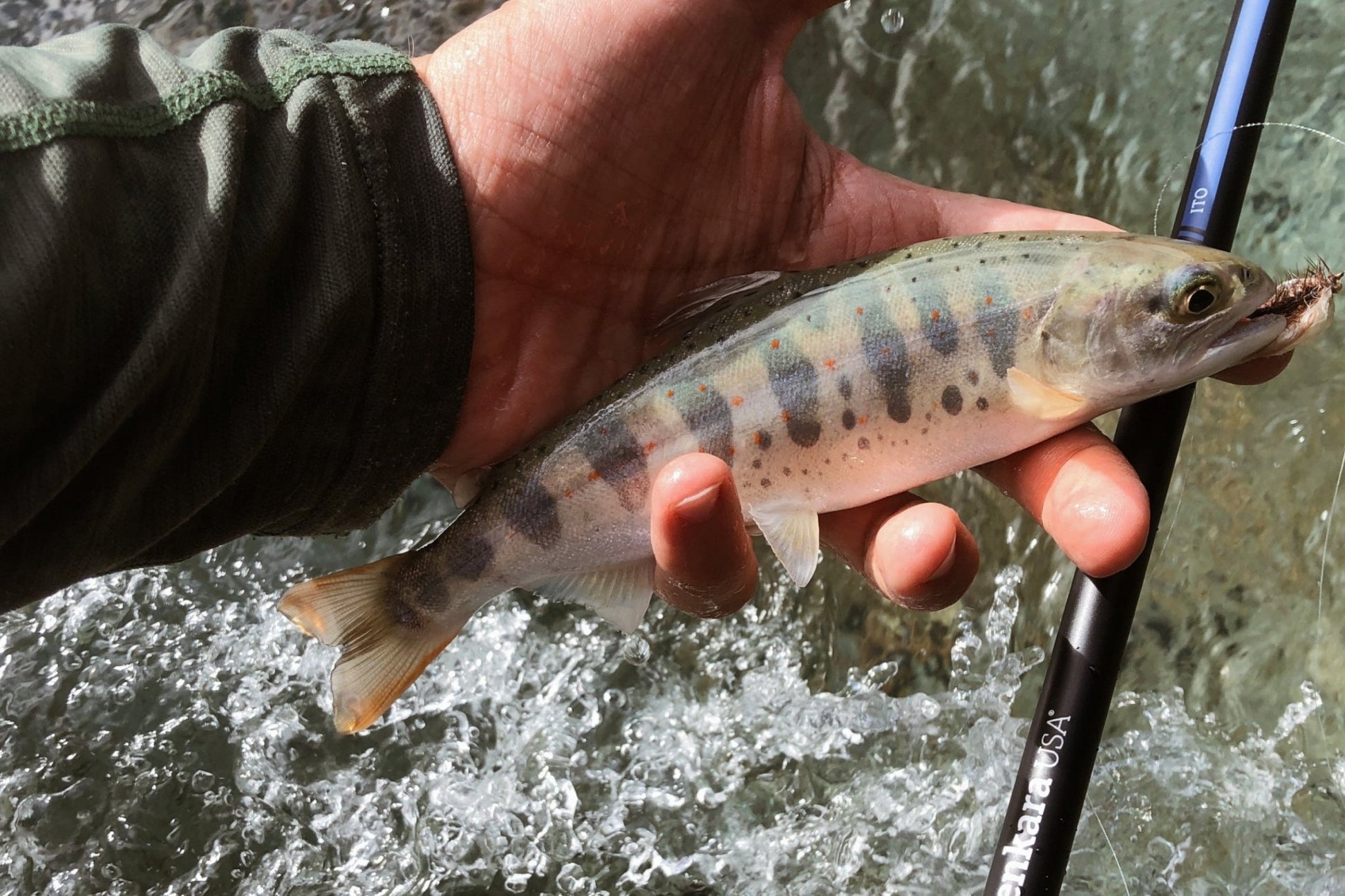 ITO™ 13' / 14'7" (adjustable) - Hazy Fly Fishing