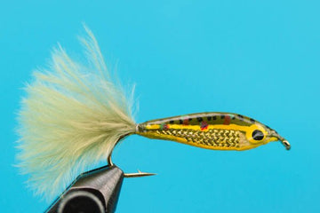 Janssen's Minnow - Brook trout - Hazy Fly Fishing