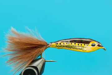 Janssen's Minnow - Brown Trout - Hazy Fly Fishing