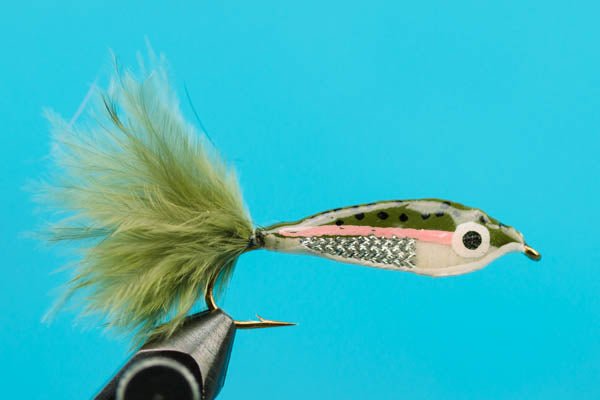Janssen's Minnow - Rainbow Trout - Hazy Fly Fishing
