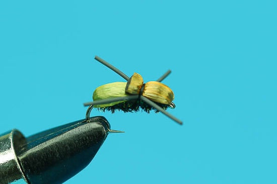 Japanese Beetle - Hazy Fly Fishing
