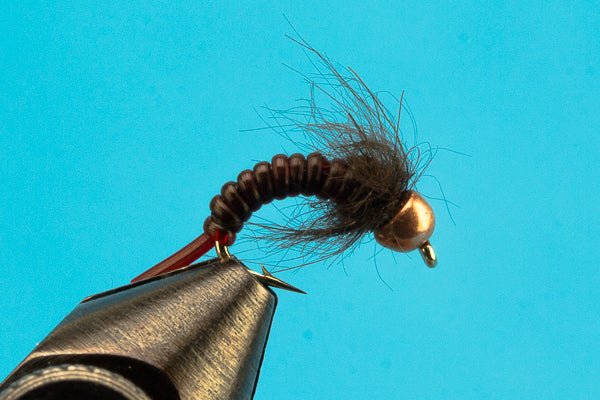 Jelly Caddis - Beadhead - Hazy Fly Fishing
